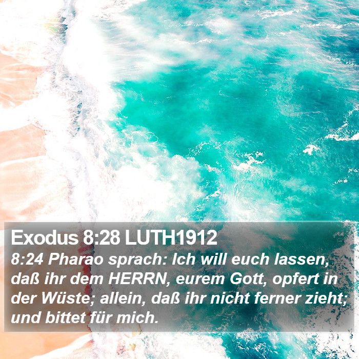 Exodus 8:28 LUTH1912 Bible Study