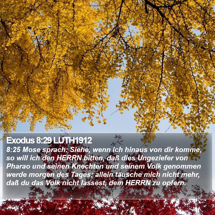 Exodus 8:29 LUTH1912 Bible Study