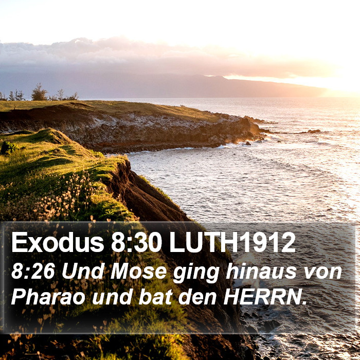 Exodus 8:30 LUTH1912 Bible Study