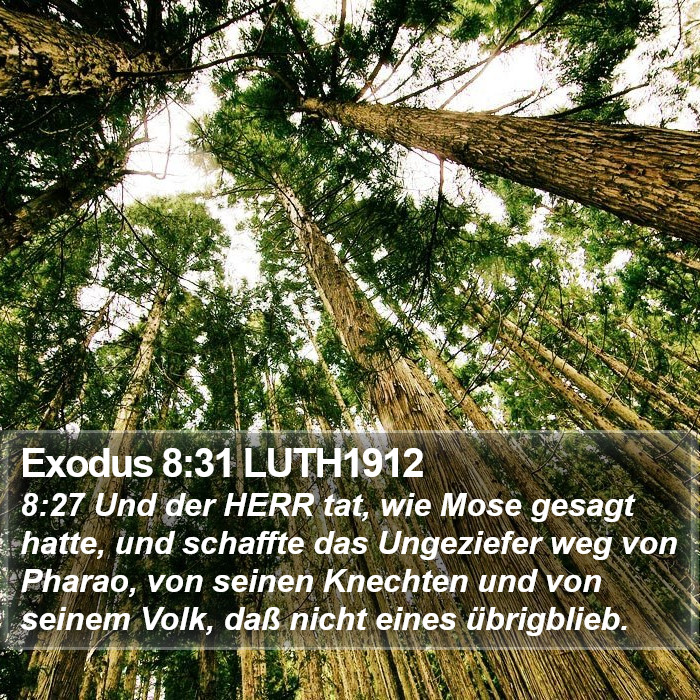 Exodus 8:31 LUTH1912 Bible Study