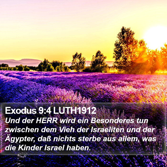 Exodus 9:4 LUTH1912 Bible Study