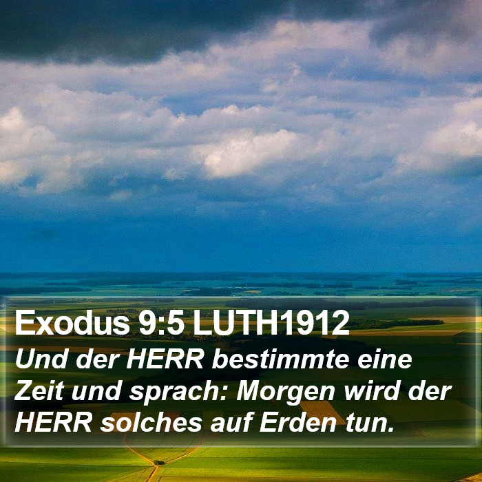 Exodus 9:5 LUTH1912 Bible Study