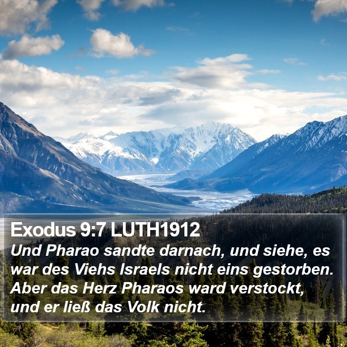 Exodus 9:7 LUTH1912 Bible Study