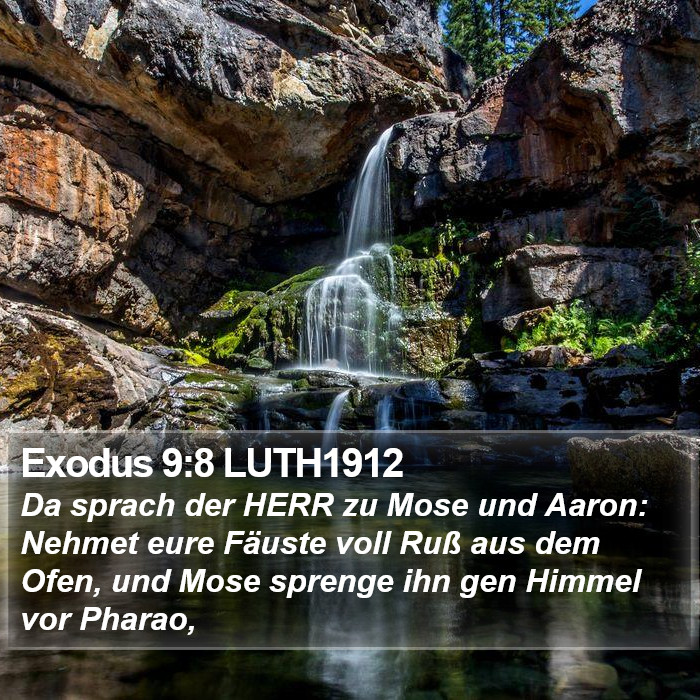 Exodus 9:8 LUTH1912 Bible Study