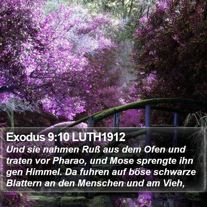 Exodus 9:10 LUTH1912 Bible Study