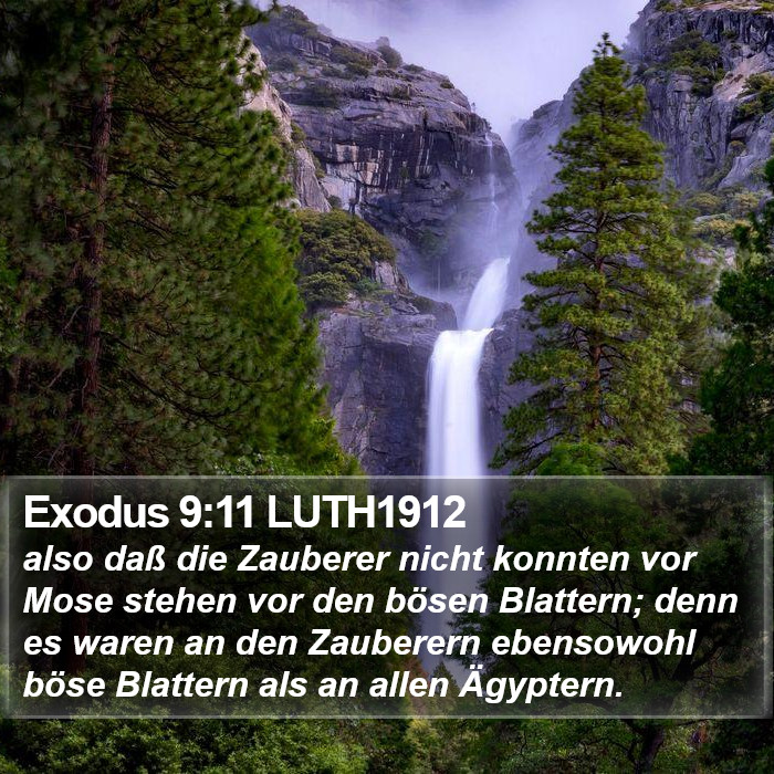 Exodus 9:11 LUTH1912 Bible Study