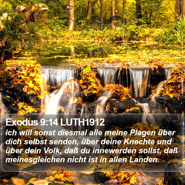 Exodus 9:14 LUTH1912 Bible Study