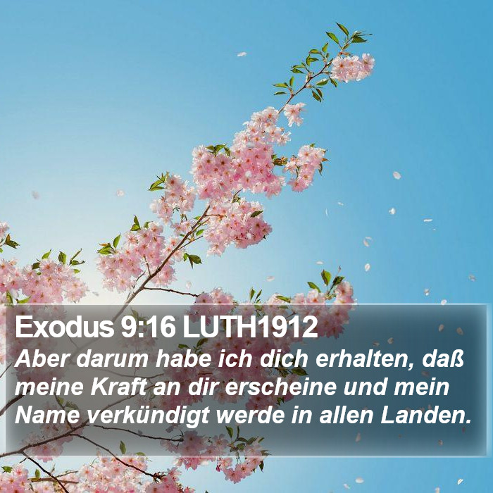 Exodus 9:16 LUTH1912 Bible Study