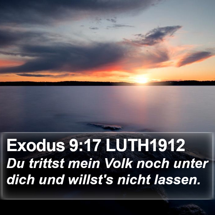 Exodus 9:17 LUTH1912 Bible Study