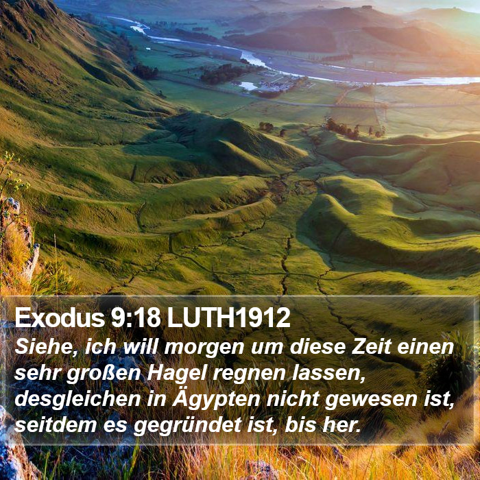 Exodus 9:18 LUTH1912 Bible Study