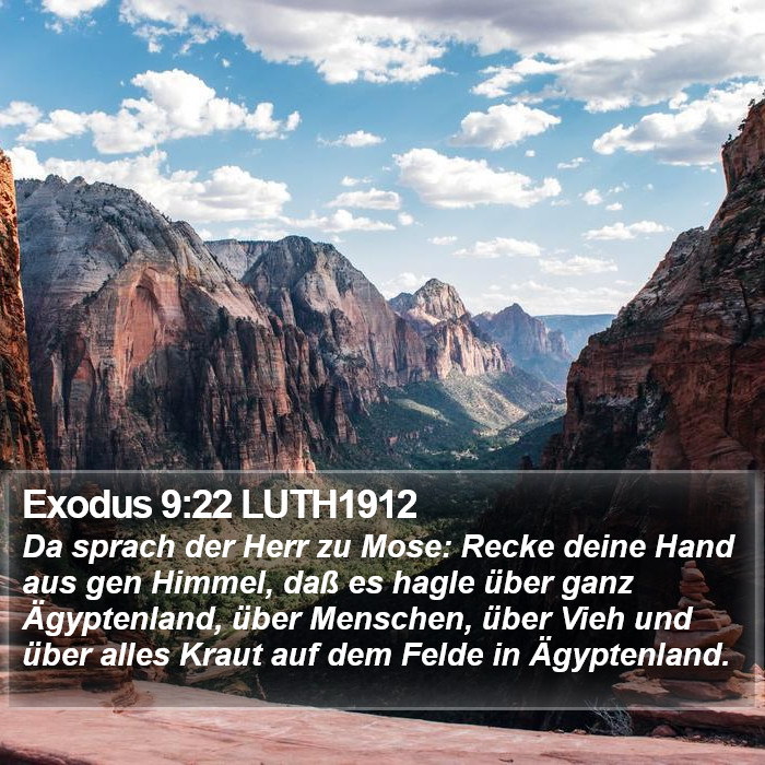 Exodus 9:22 LUTH1912 Bible Study