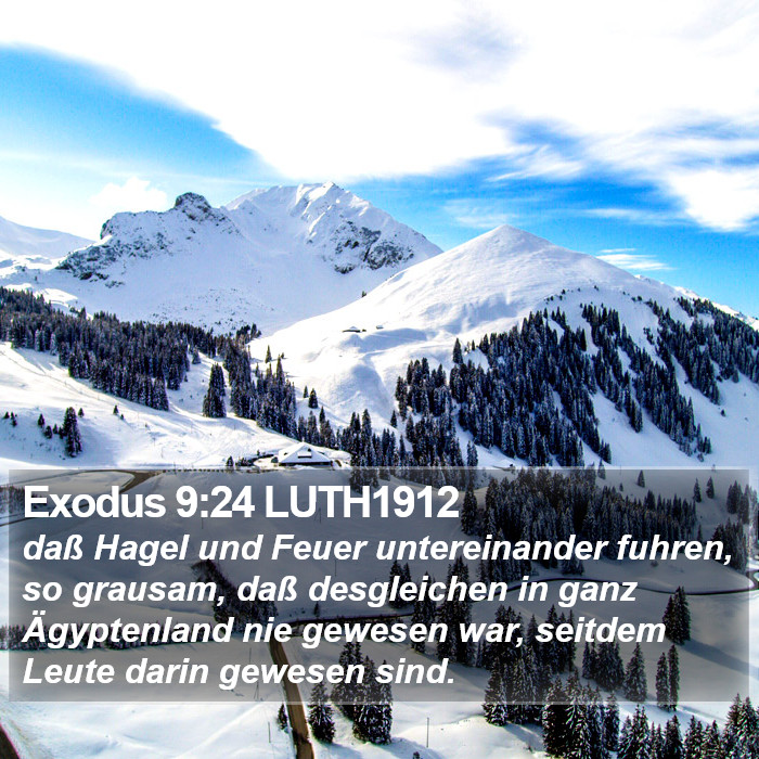 Exodus 9:24 LUTH1912 Bible Study