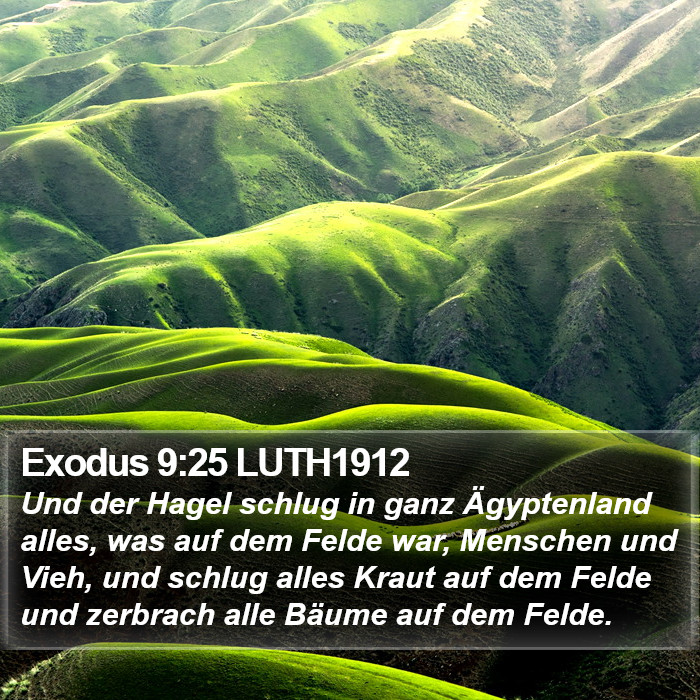 Exodus 9:25 LUTH1912 Bible Study