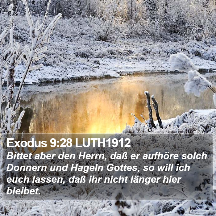 Exodus 9:28 LUTH1912 Bible Study