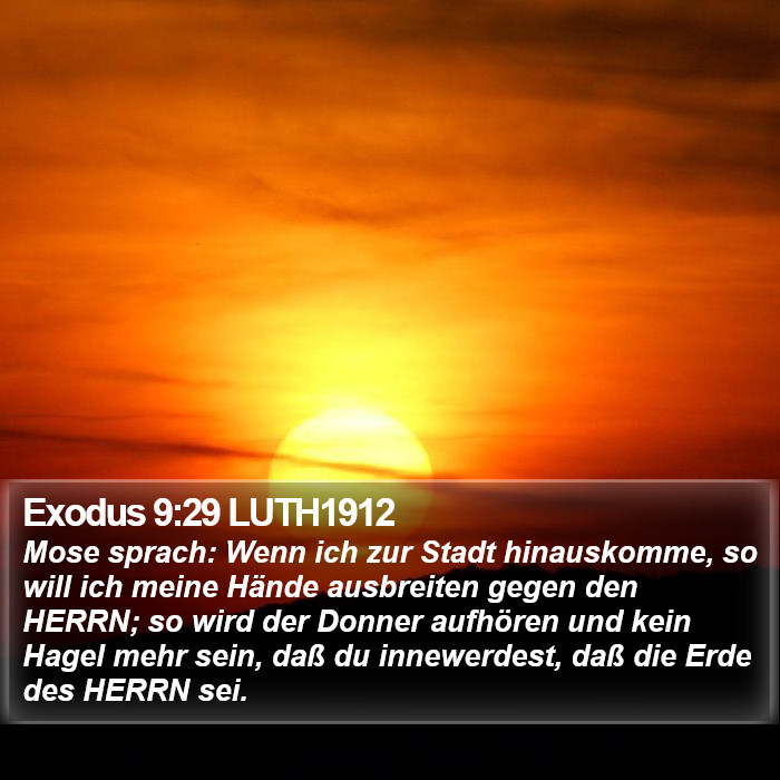 Exodus 9:29 LUTH1912 Bible Study