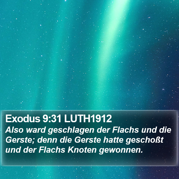 Exodus 9:31 LUTH1912 Bible Study