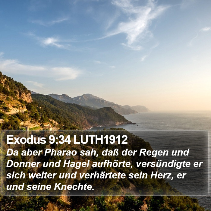 Exodus 9:34 LUTH1912 Bible Study