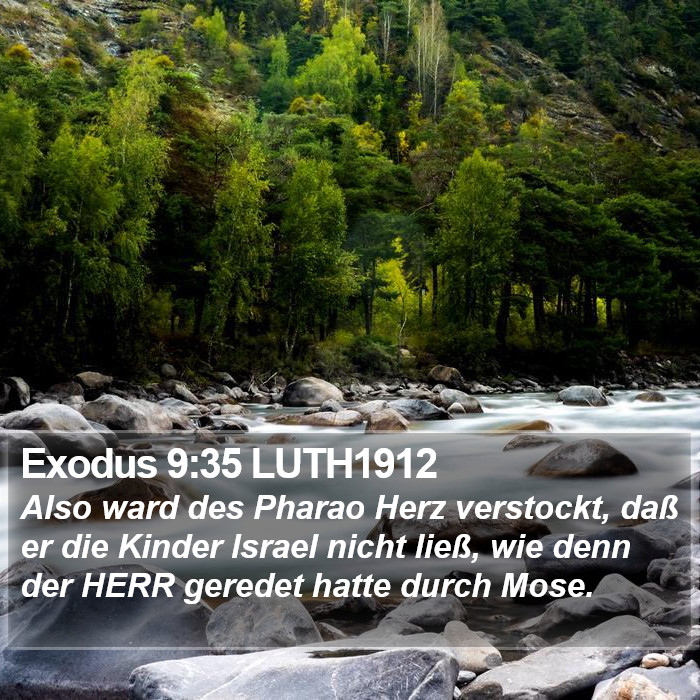 Exodus 9:35 LUTH1912 Bible Study