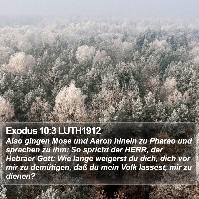 Exodus 10:3 LUTH1912 Bible Study