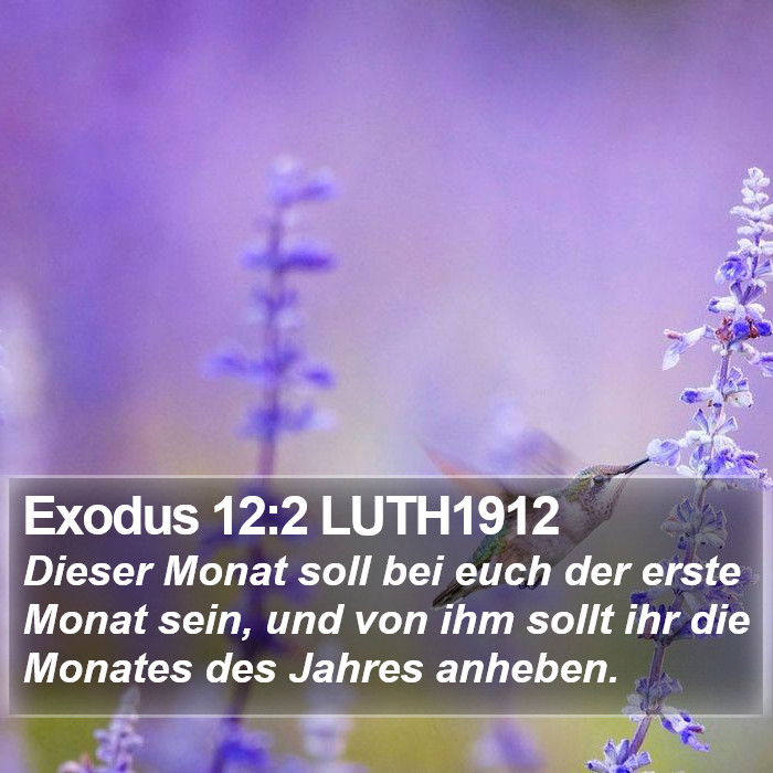 Exodus 12:2 LUTH1912 Bible Study