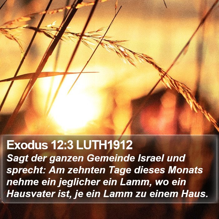 Exodus 12:3 LUTH1912 Bible Study