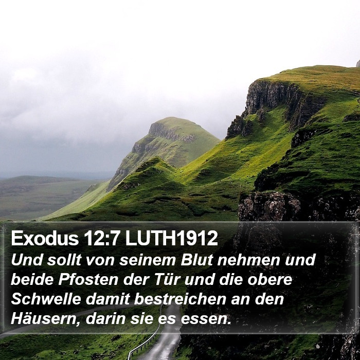 Exodus 12:7 LUTH1912 Bible Study