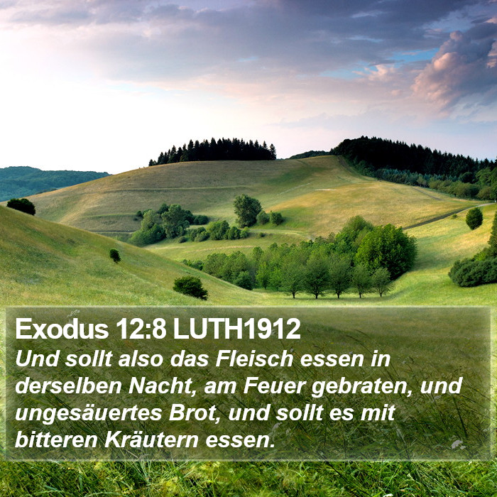 Exodus 12:8 LUTH1912 Bible Study