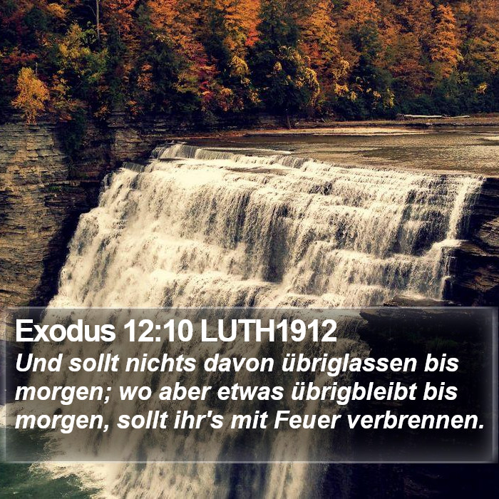 Exodus 12:10 LUTH1912 Bible Study