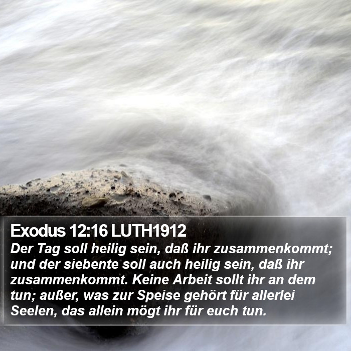 Exodus 12:16 LUTH1912 Bible Study