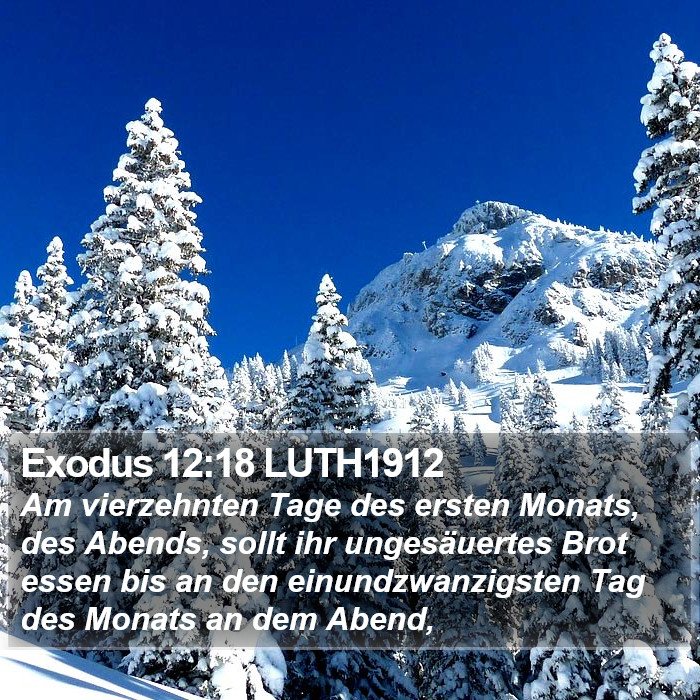 Exodus 12:18 LUTH1912 Bible Study