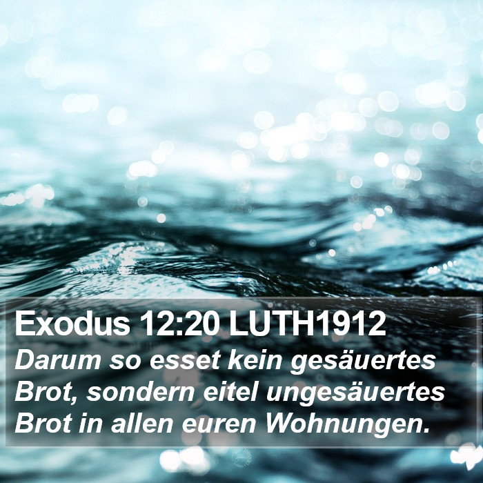 Exodus 12:20 LUTH1912 Bible Study