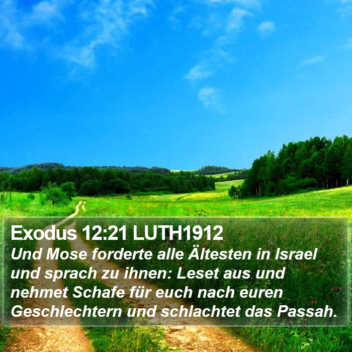 Exodus 12:21 LUTH1912 Bible Study