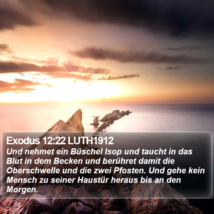 Exodus 12:22 LUTH1912 Bible Study