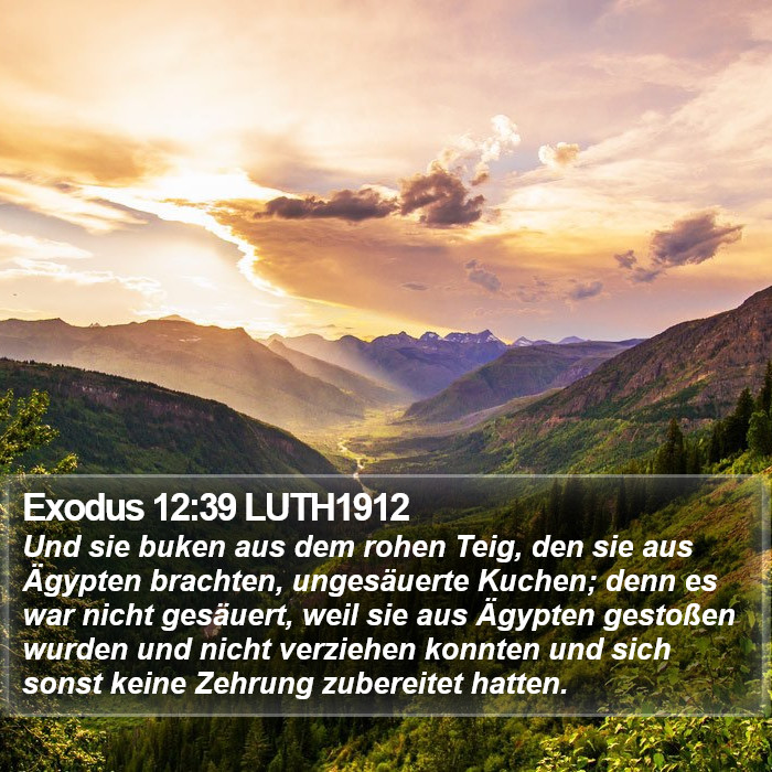 Exodus 12:39 LUTH1912 Bible Study