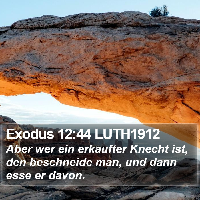 Exodus 12:44 LUTH1912 Bible Study