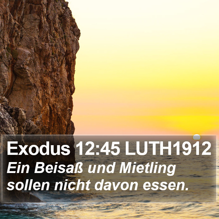 Exodus 12:45 LUTH1912 Bible Study