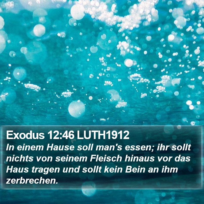 Exodus 12:46 LUTH1912 Bible Study