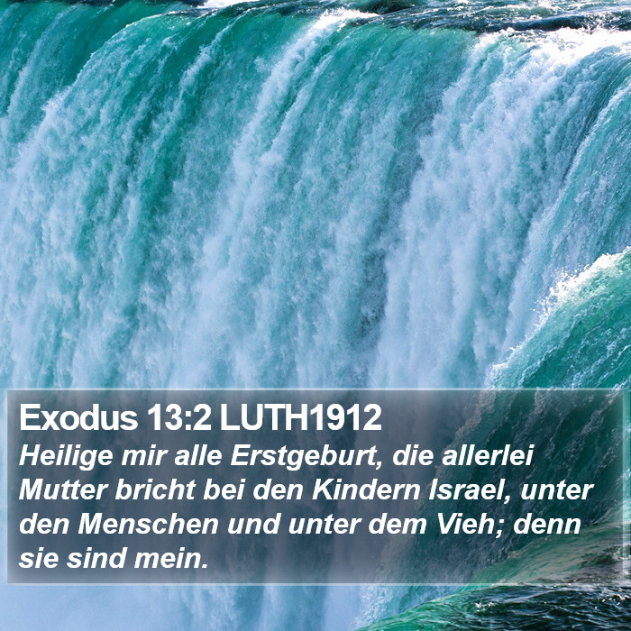 Exodus 13:2 LUTH1912 Bible Study