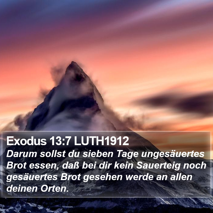 Exodus 13:7 LUTH1912 Bible Study