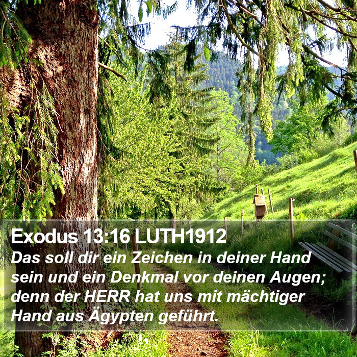 Exodus 13:16 LUTH1912 Bible Study