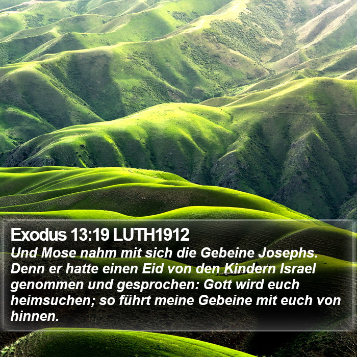 Exodus 13:19 LUTH1912 Bible Study