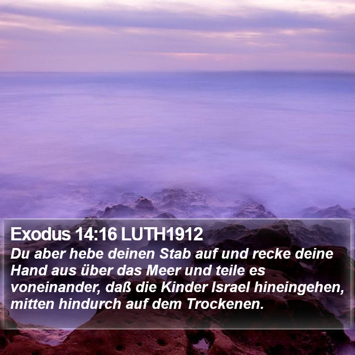 Exodus 14:16 LUTH1912 Bible Study