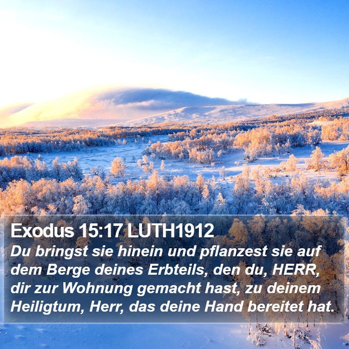 Exodus 15:17 LUTH1912 Bible Study