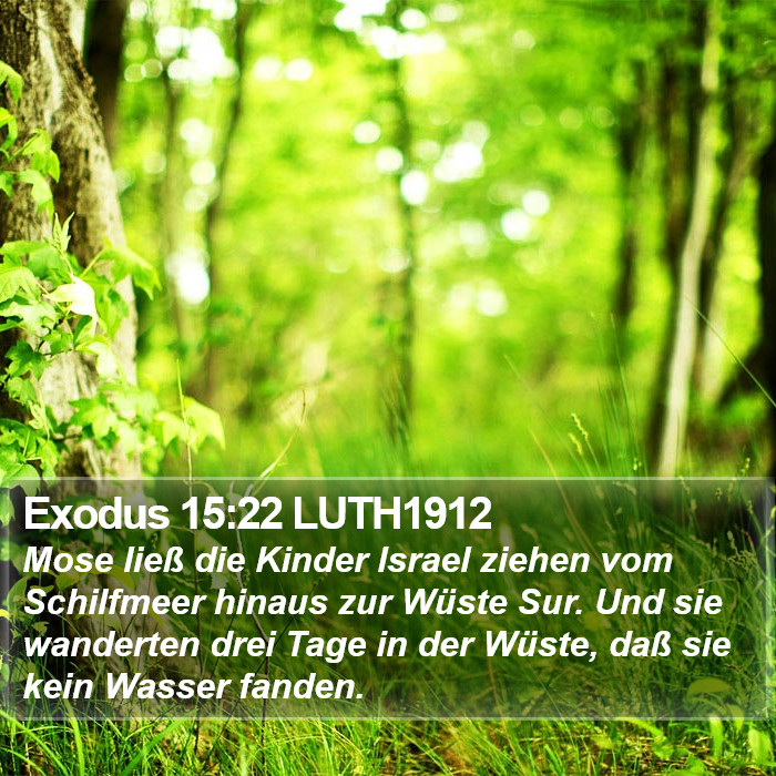 Exodus 15:22 LUTH1912 Bible Study