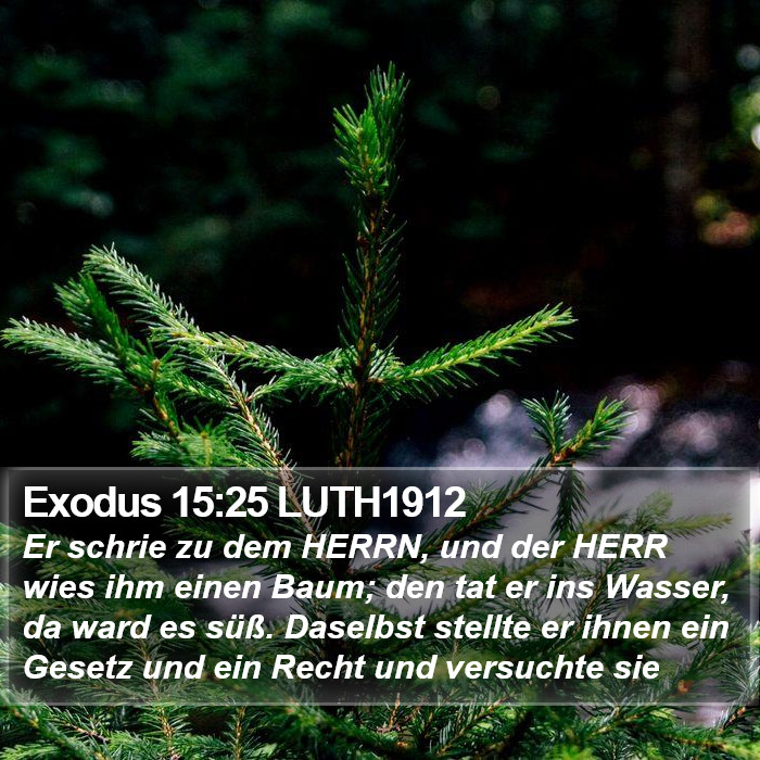 Exodus 15:25 LUTH1912 Bible Study