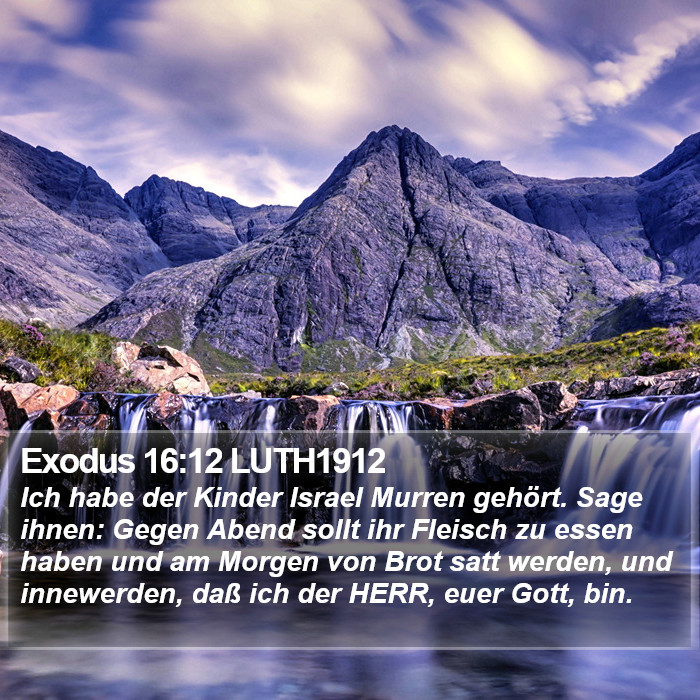 Exodus 16:12 LUTH1912 Bible Study