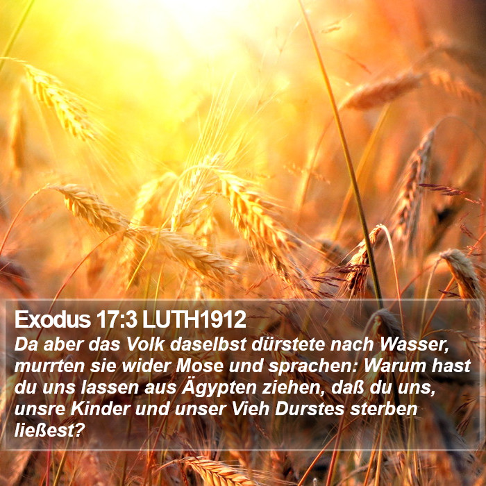 Exodus 17:3 LUTH1912 Bible Study
