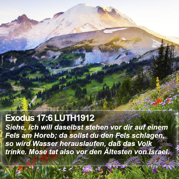 Exodus 17:6 LUTH1912 Bible Study