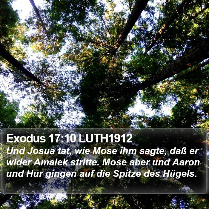 Exodus 17:10 LUTH1912 Bible Study
