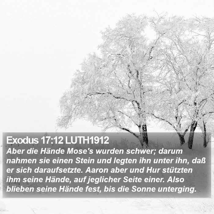 Exodus 17:12 LUTH1912 Bible Study